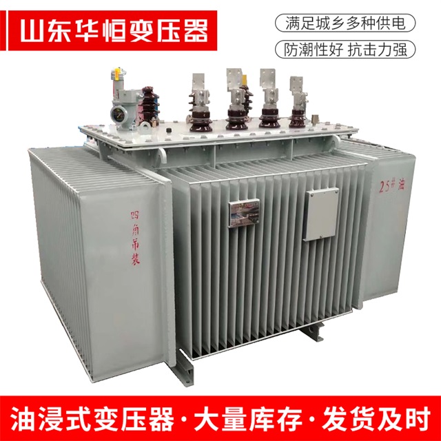 S13-10000/35文成文成文成电力变压器厂家