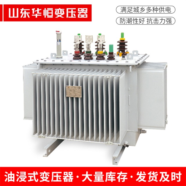 S13-10000/35文成文成文成电力变压器