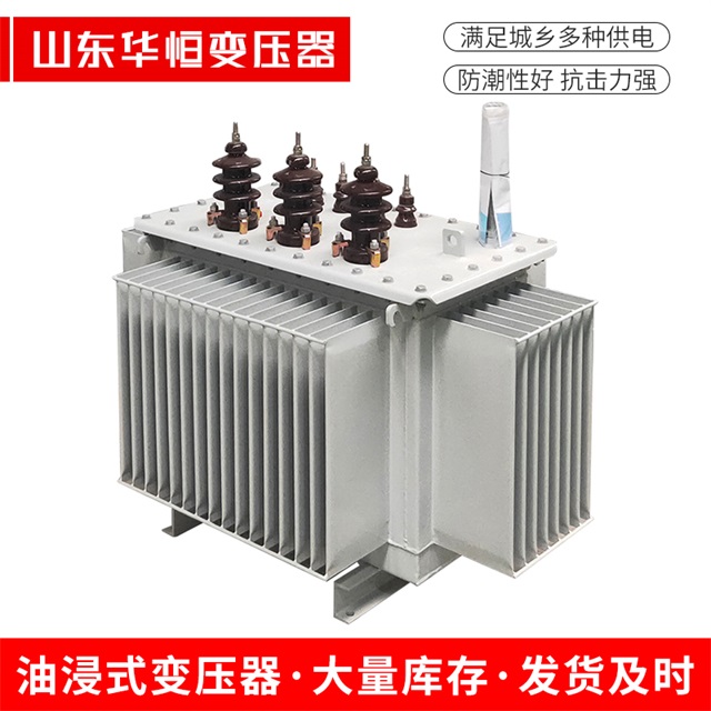S13-10000/35文成文成文成油浸式变压器厂家